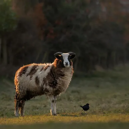 Broughton Grove - Skipton, Pet Friendly, Canal Access 펜션 *