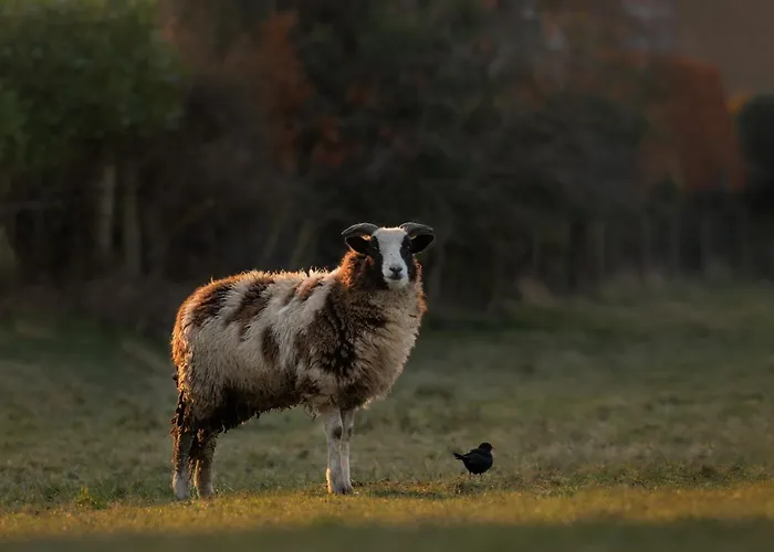 Broughton Grove - Skipton, Pet Friendly, Canal Access Дом отдыха *